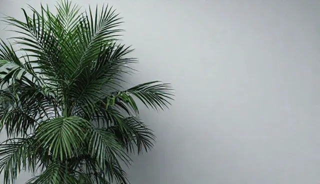 企业信息升级服务选型需关注哪些核心要素